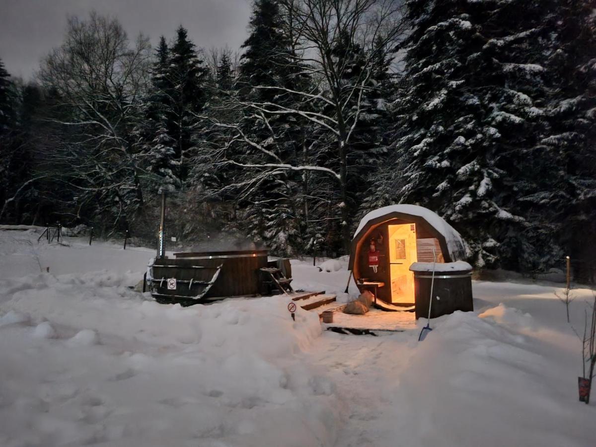 Klimkowka Pod Gwiazdami - Sauna, Jacuzzi, Basen Exterior foto