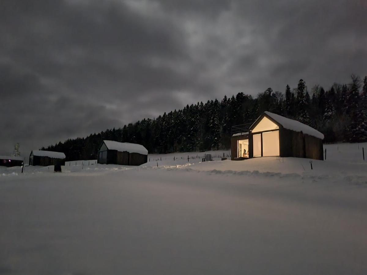 Klimkowka Pod Gwiazdami - Sauna, Jacuzzi, Basen Exterior foto